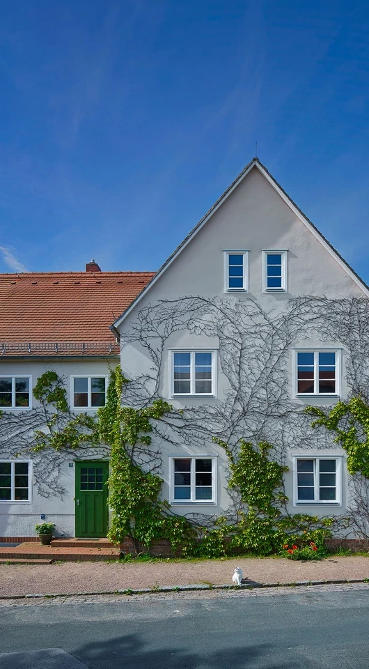 Einfachheit als Vision